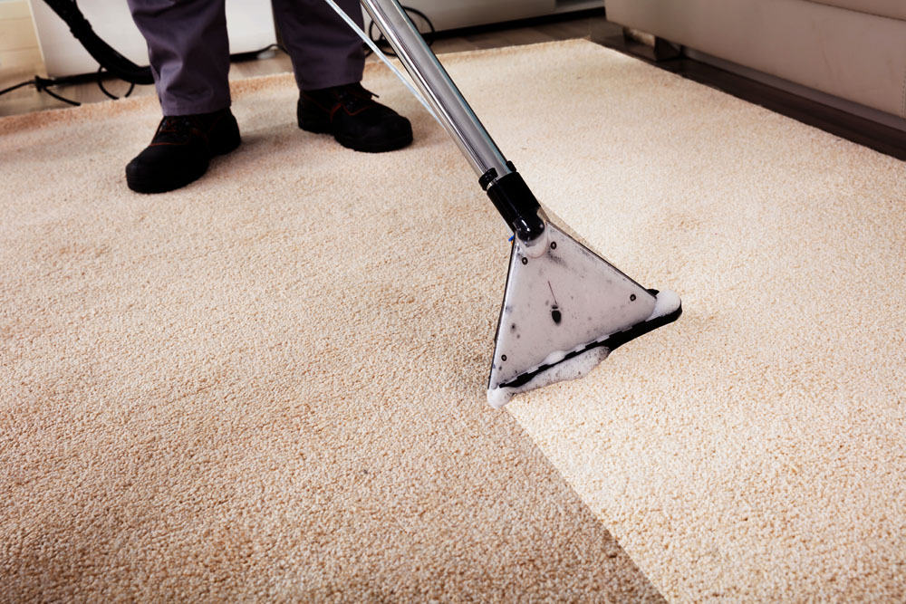 How Long Do You Have To Leave A Carpet Clean?